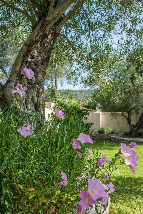 Corfu Villa Linea Línia Buitenkant foto