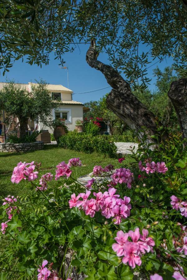 Corfu Villa Linea Línia Buitenkant foto