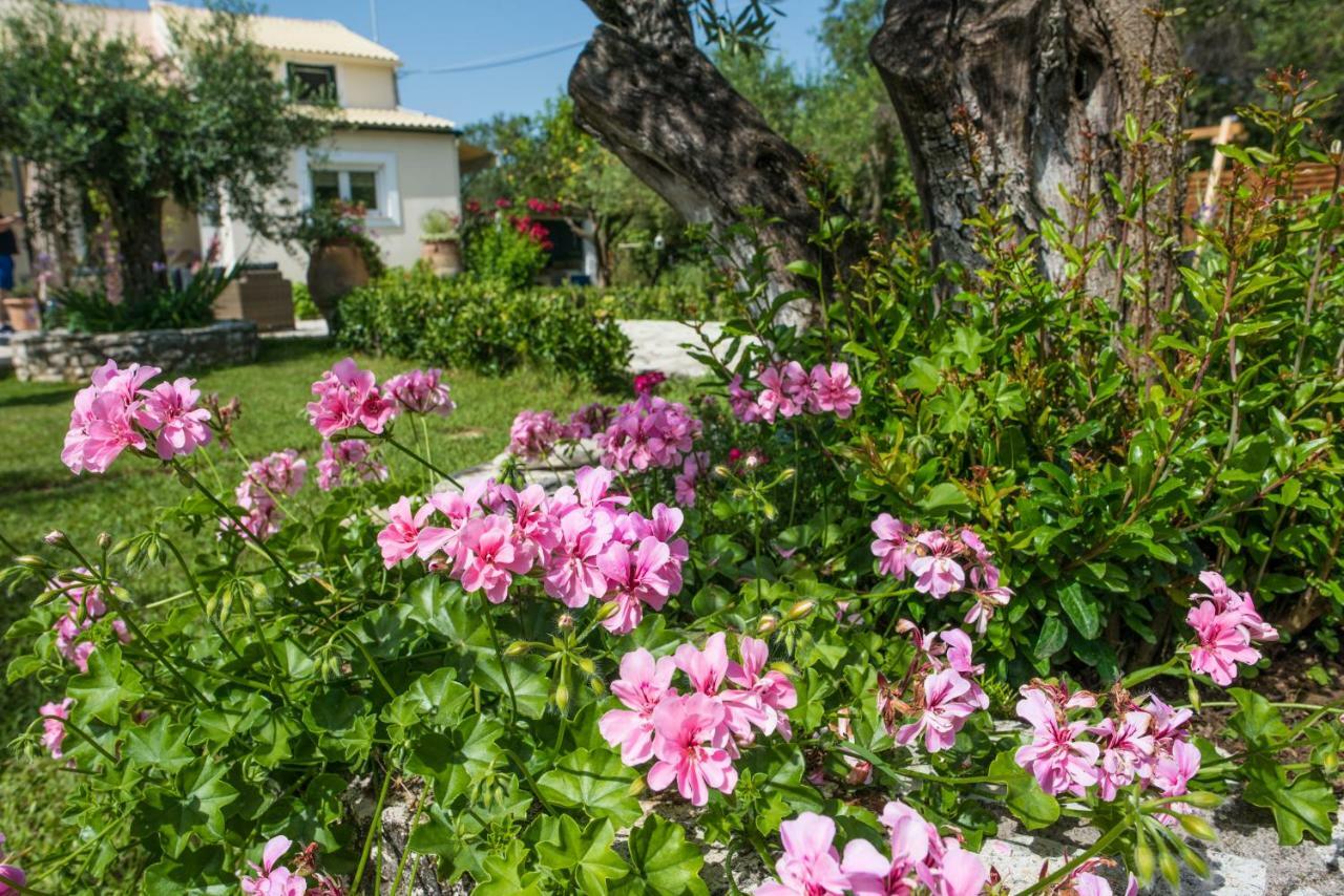 Corfu Villa Linea Línia Buitenkant foto